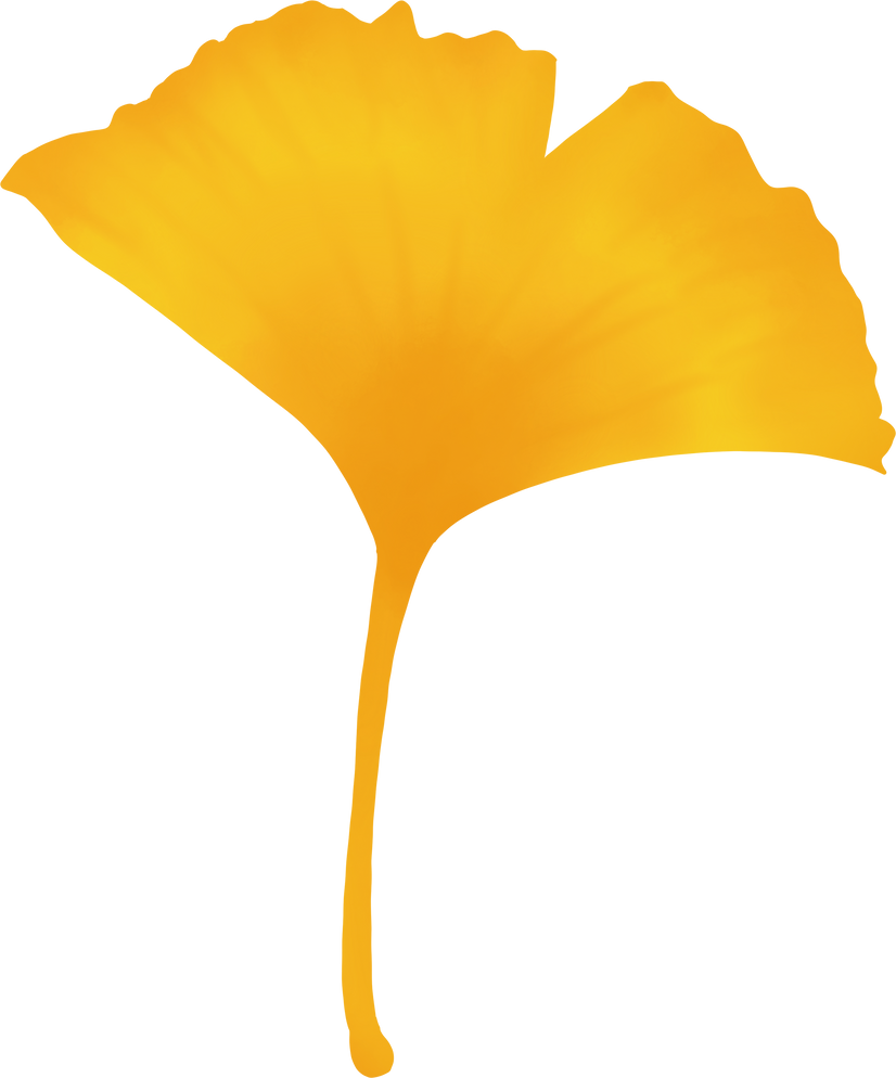 Watercolor Ginkgo Leaf